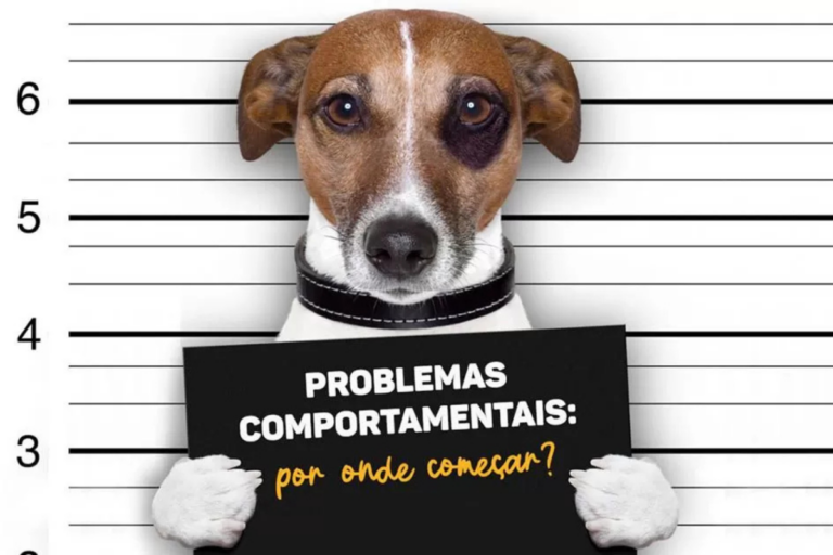 ransforme o Comportamento do Seu Pet